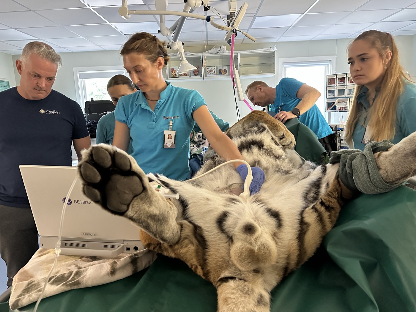 Jobb - Technical Sales Specialist - Medivet